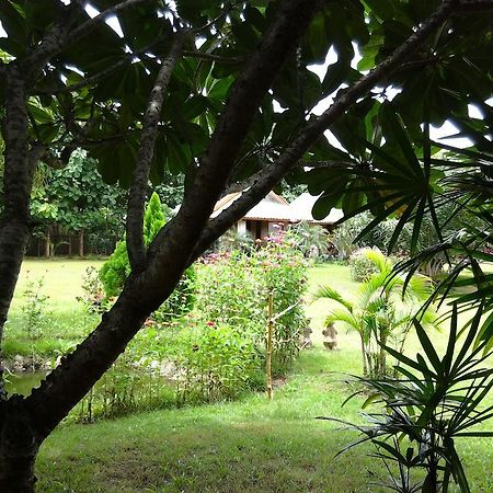 Orange Grove Resort Pai Dış mekan fotoğraf