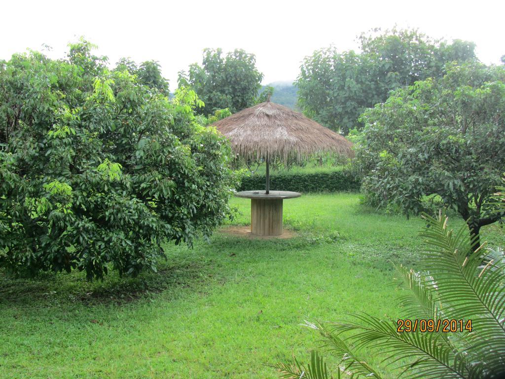 Orange Grove Resort Pai Dış mekan fotoğraf