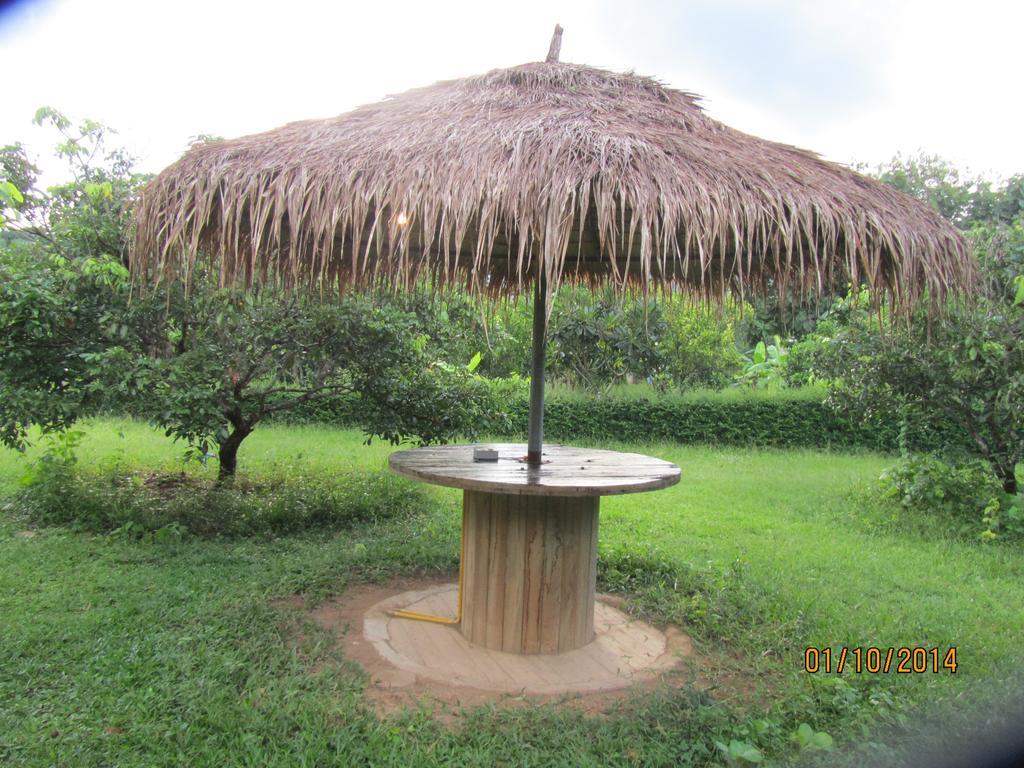 Orange Grove Resort Pai Dış mekan fotoğraf