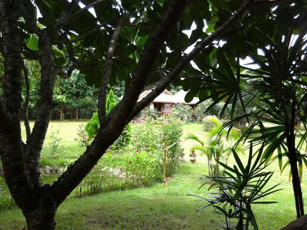 Orange Grove Resort Pai Dış mekan fotoğraf